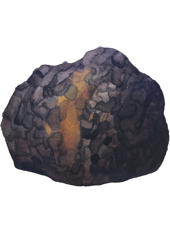 Chaga